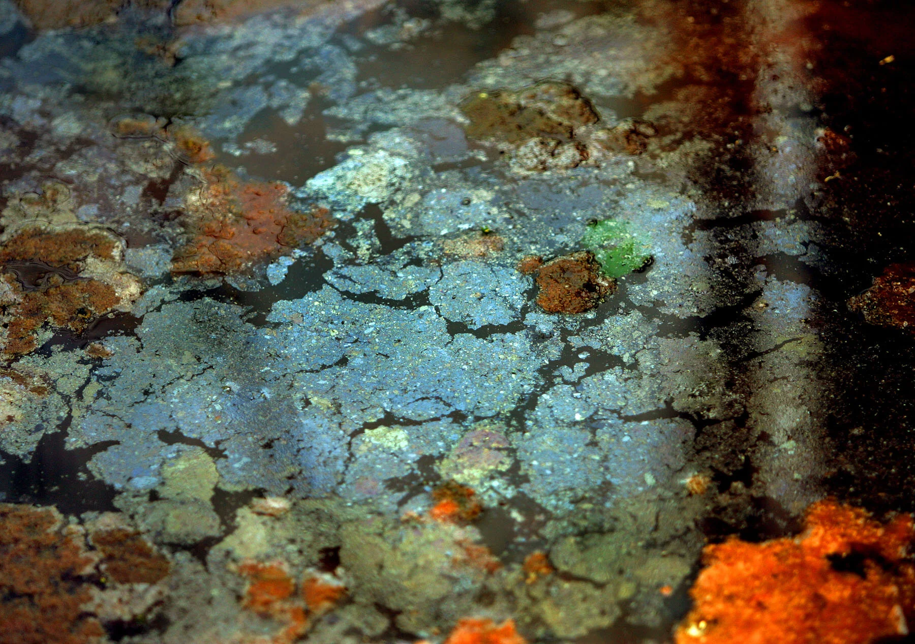 Toxic Legacy — THOMAS E. FRANKLIN